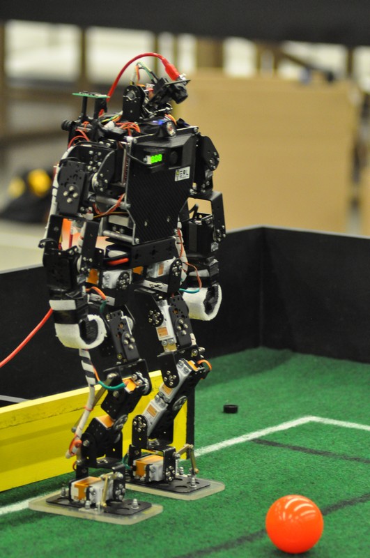 Humanoid